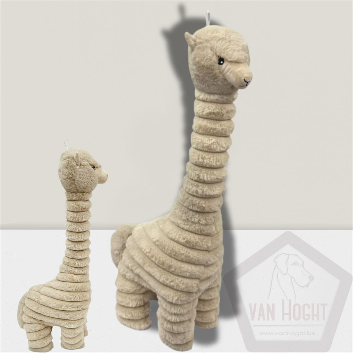 Corduroy L Noah Alpaca 65cm